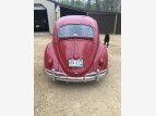 Thumbnail Photo 3 for 1961 Volkswagen Beetle Coupe